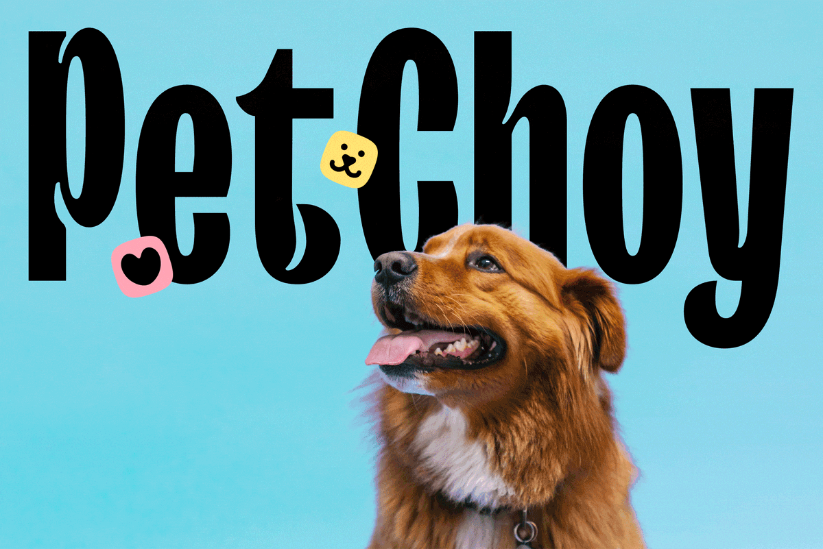 Pet Choy: Key visual