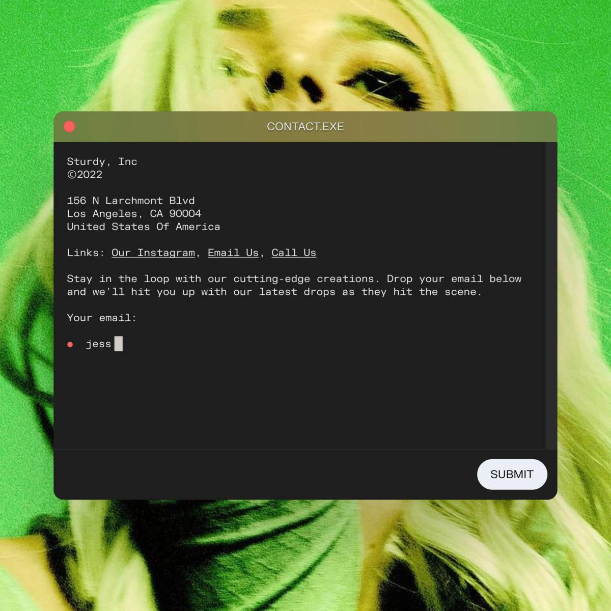 STURDY: Website