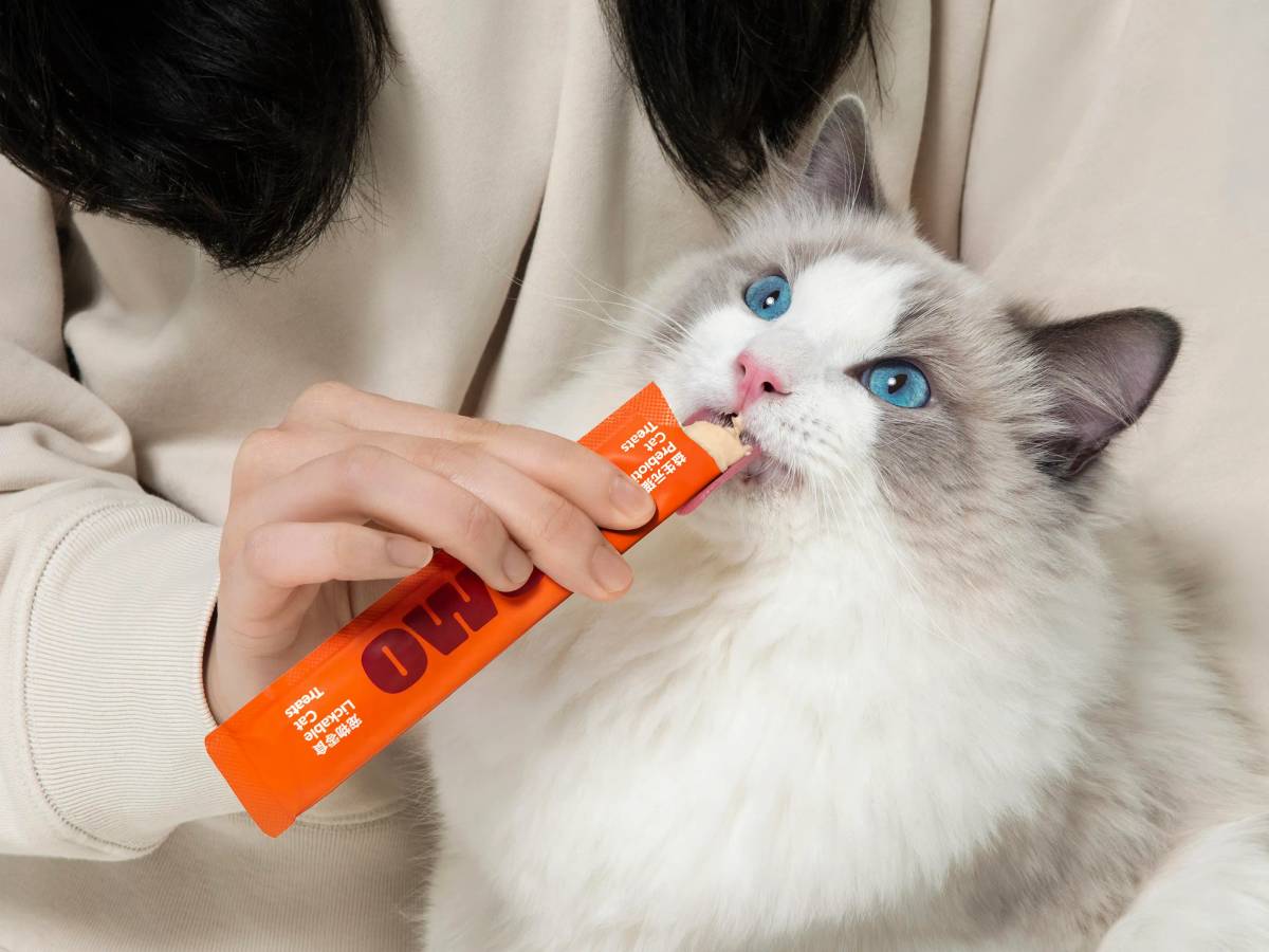 WOMO: Brand photography
