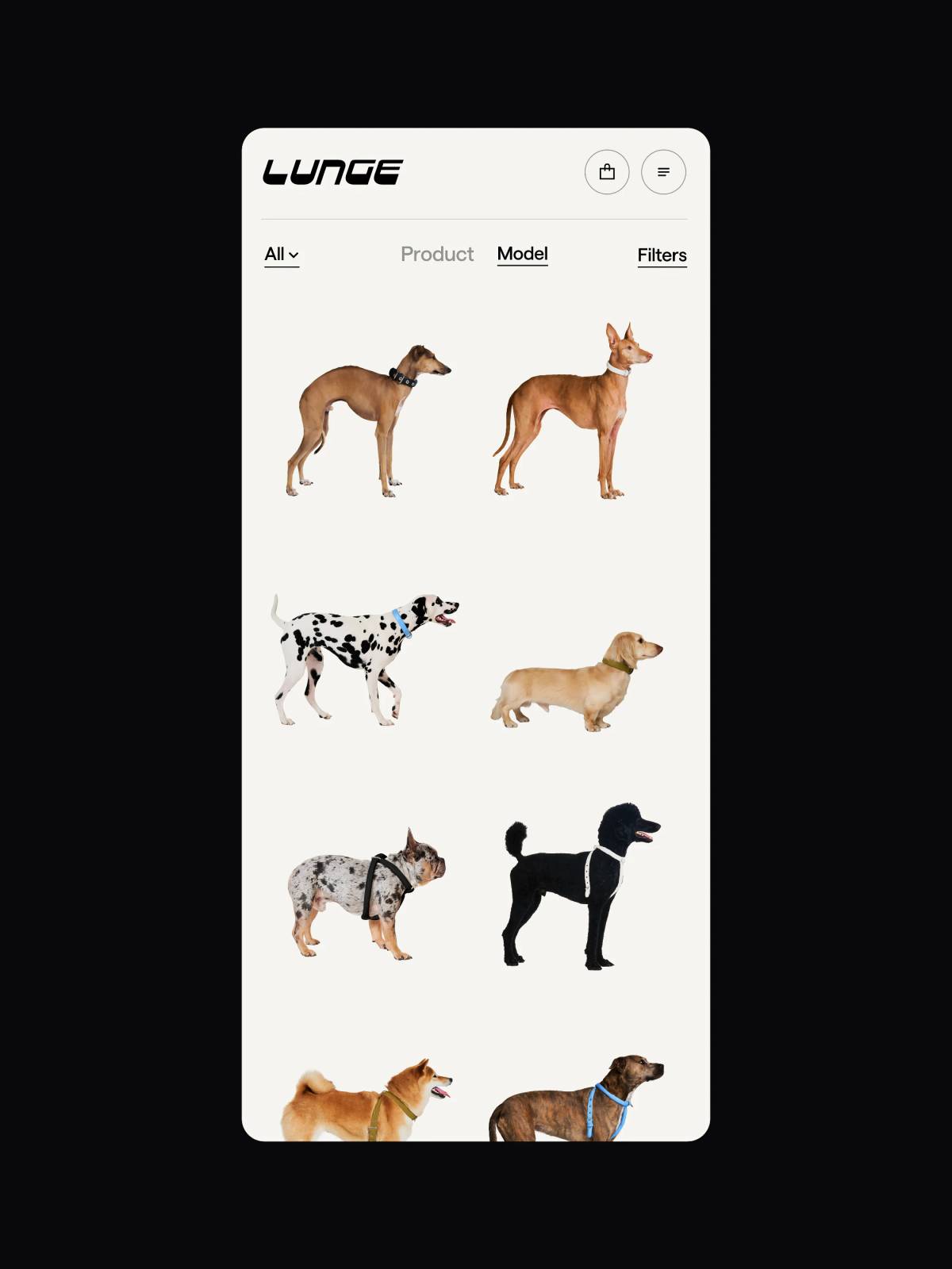 LUNGE: Website