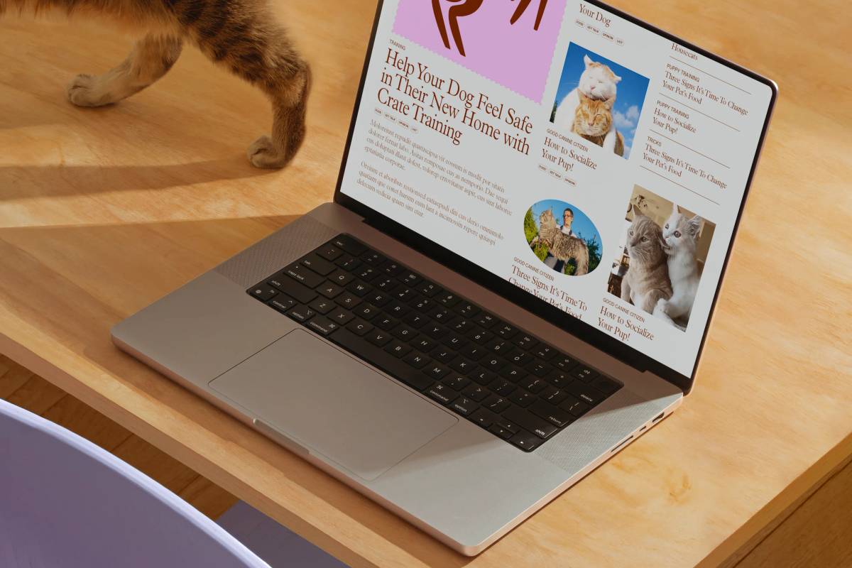 The Wildest: Website