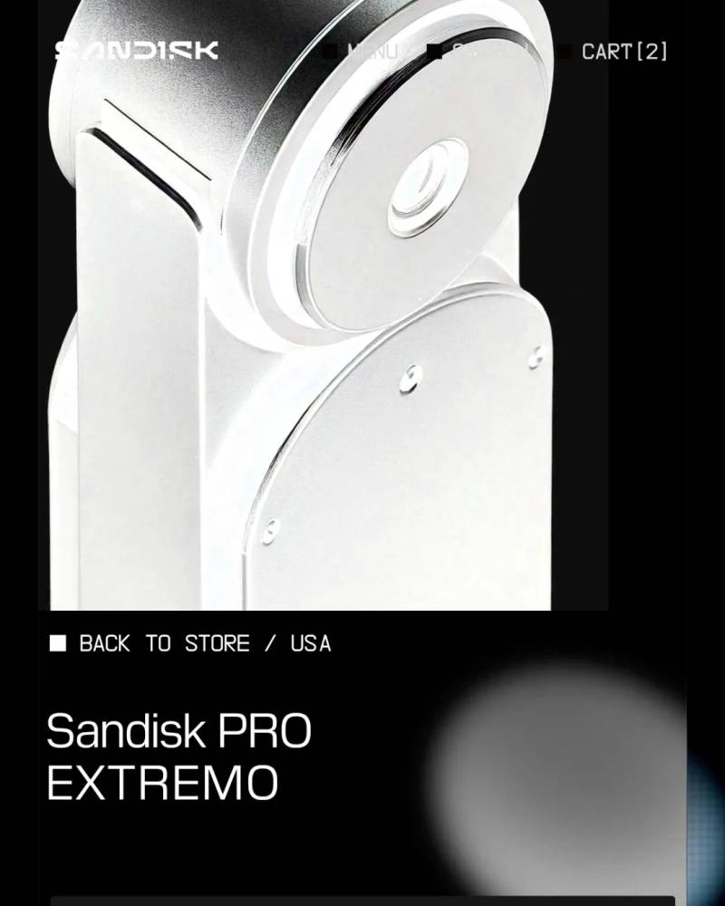 Sandisk