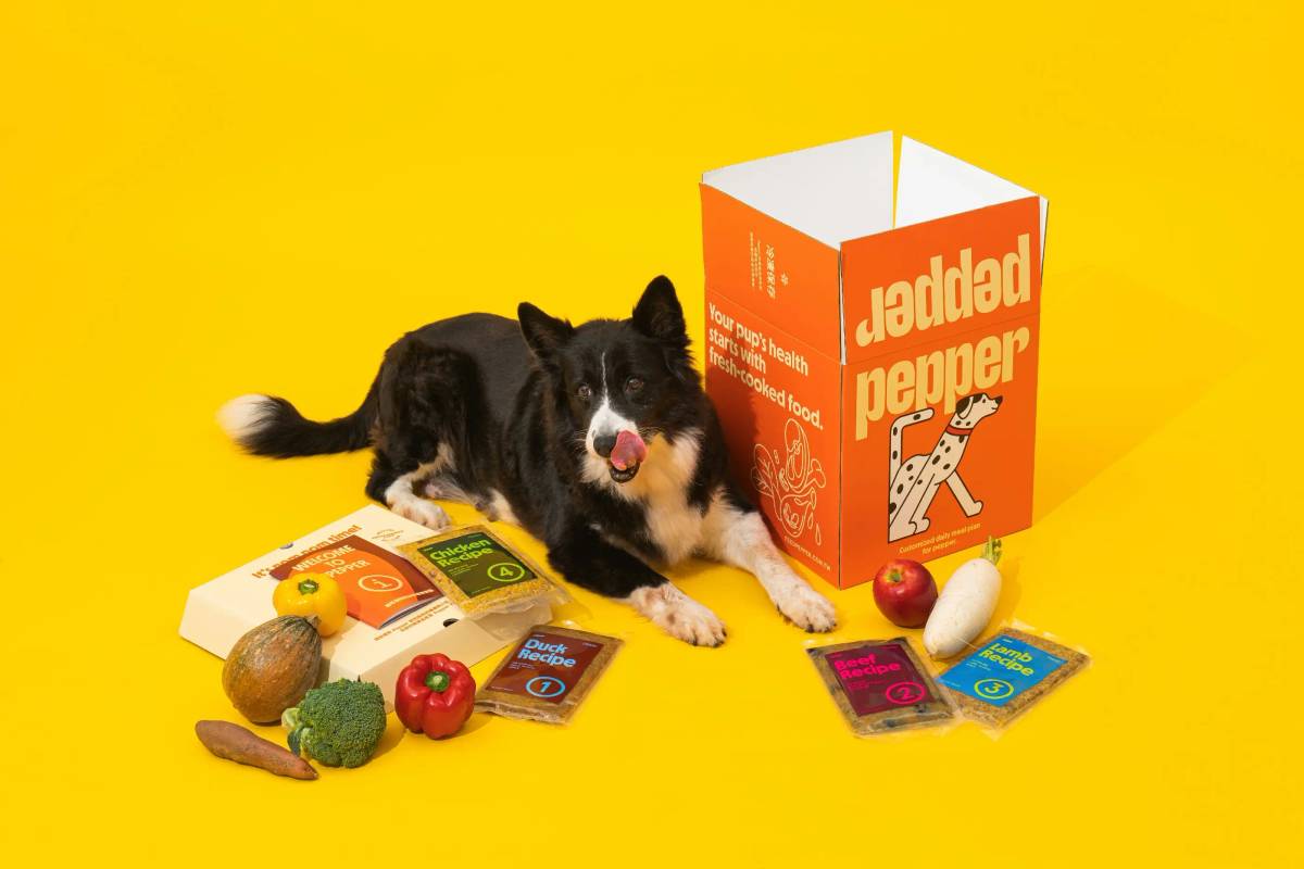Pepper: Brand visual