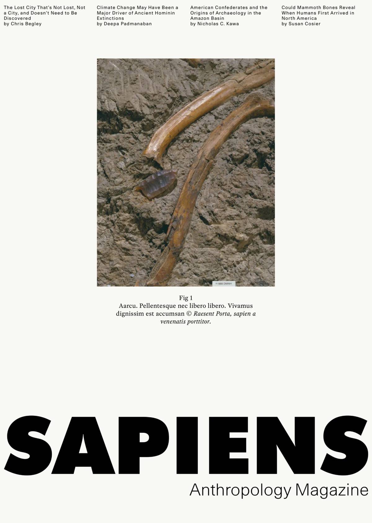 Sapiens Magazine: Poster