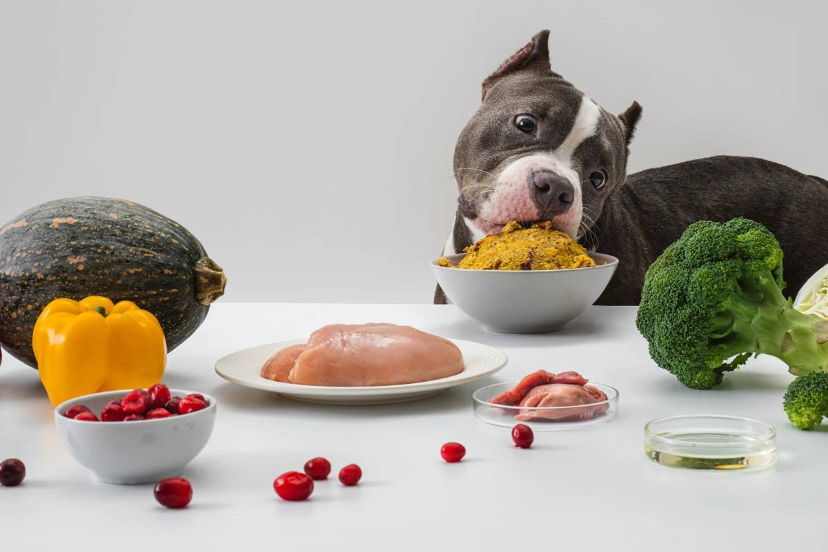 Pepper: Photography