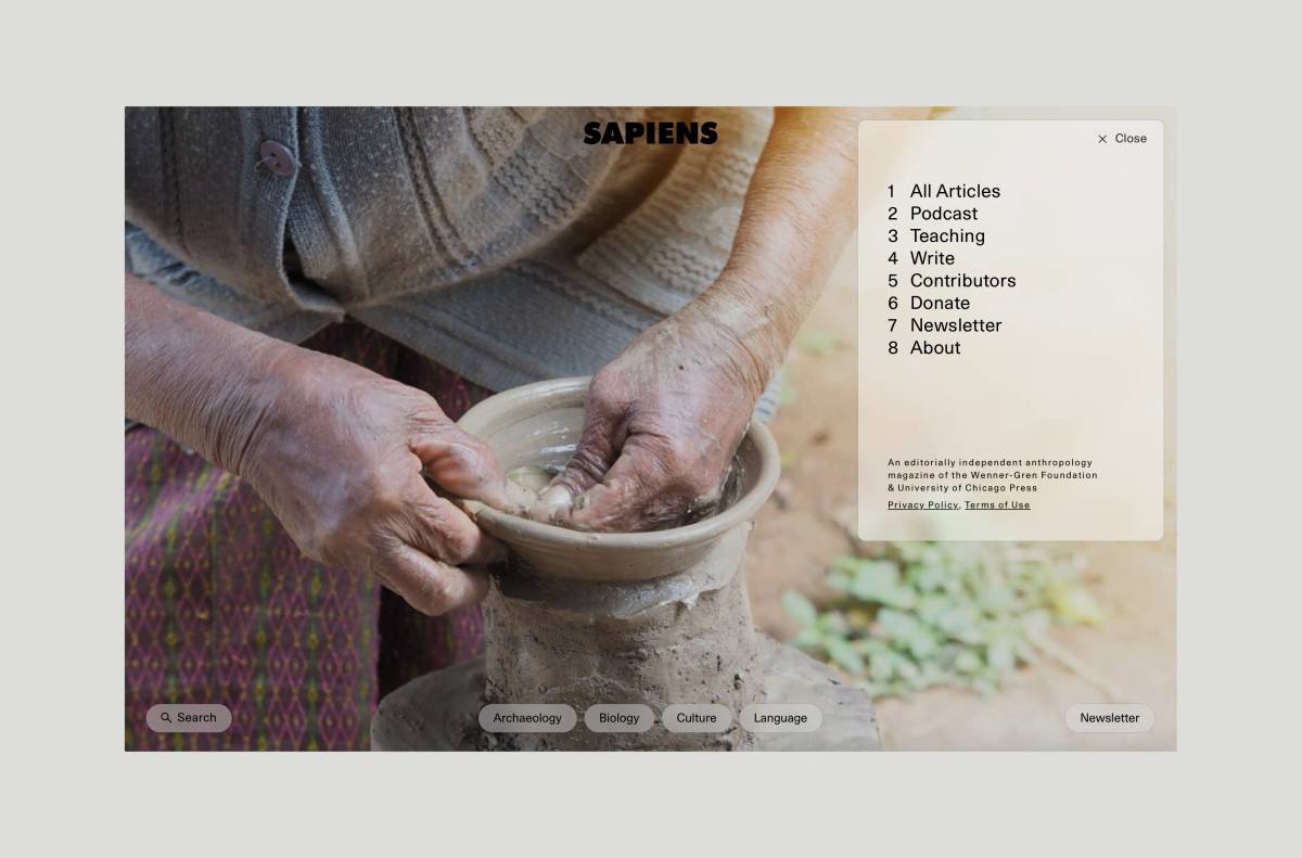 Sapiens Magazine: Website