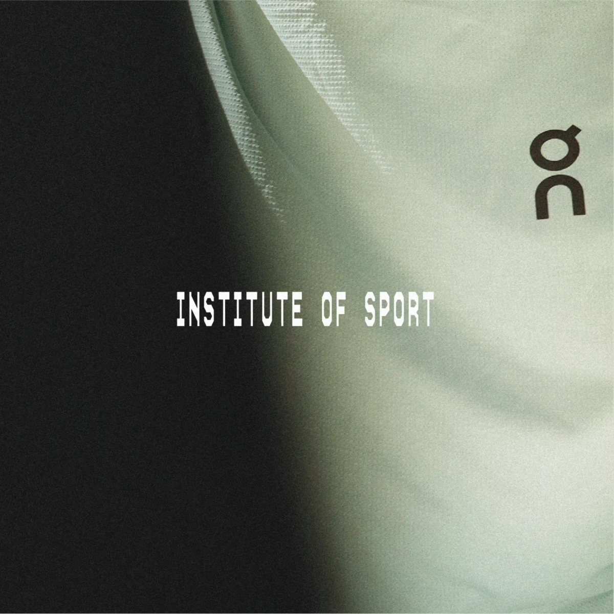 Institute of Sport: Logo