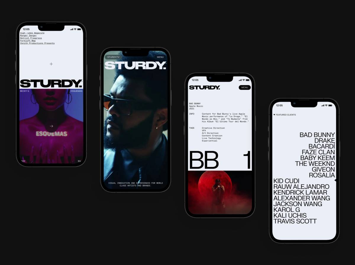 STURDY: Website