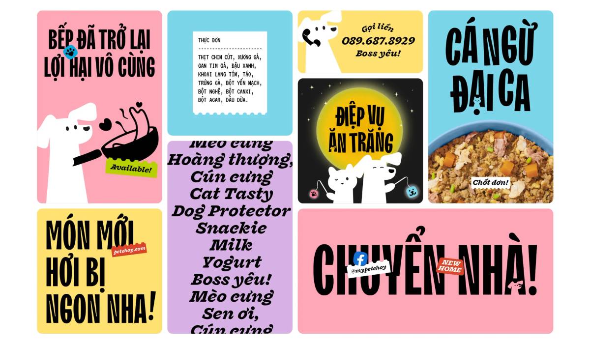 Pet Choy: Graphics