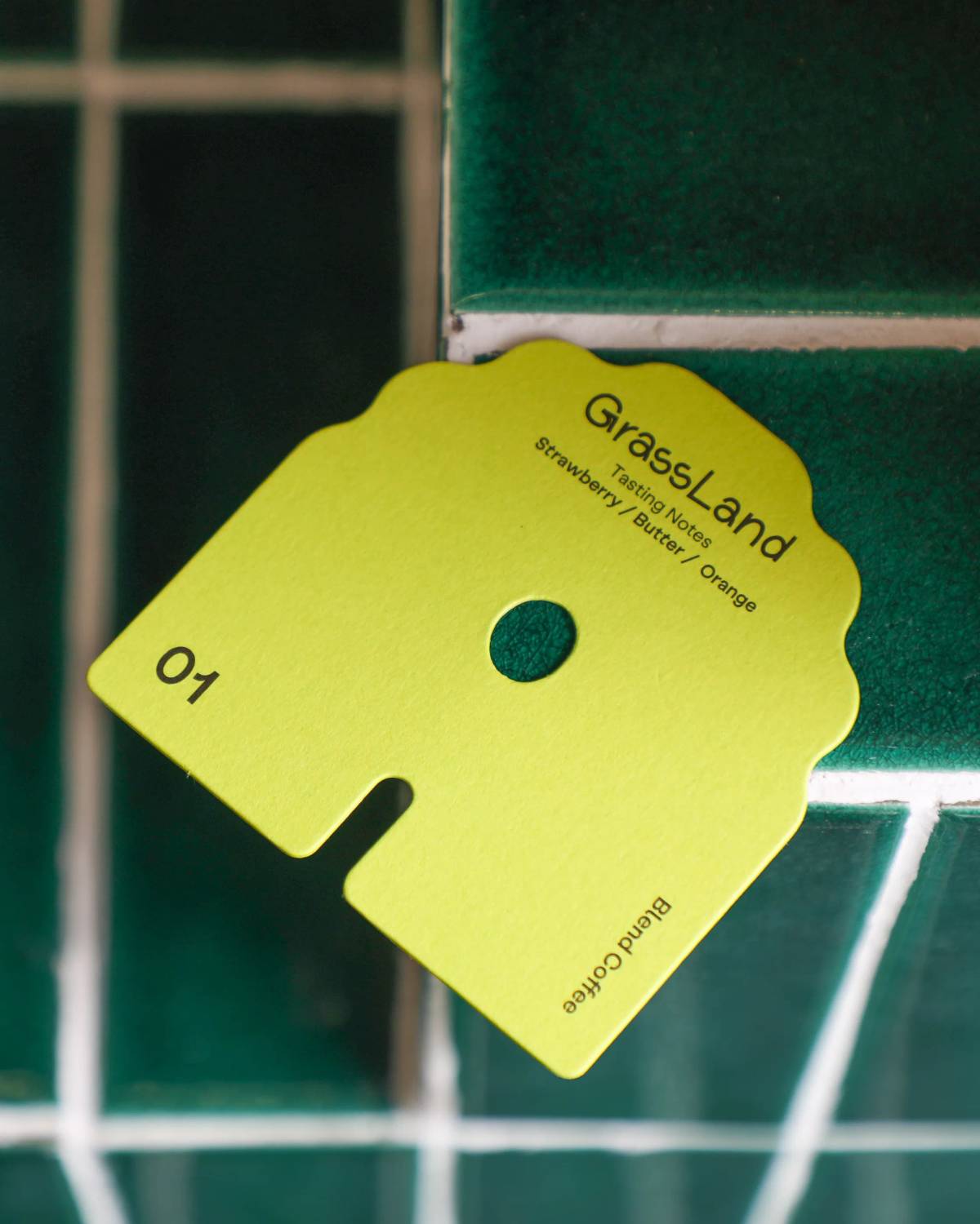 amble sheep: Information card