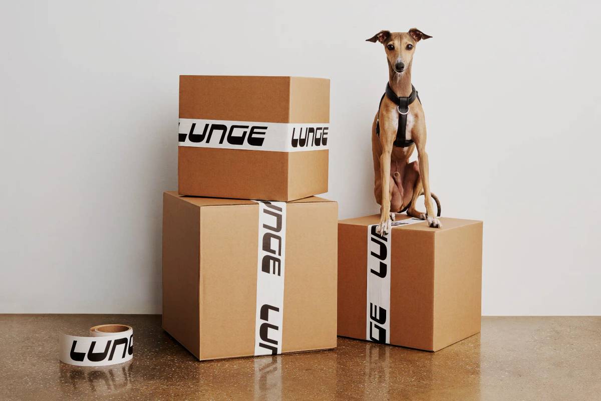LUNGE: Packing boxes