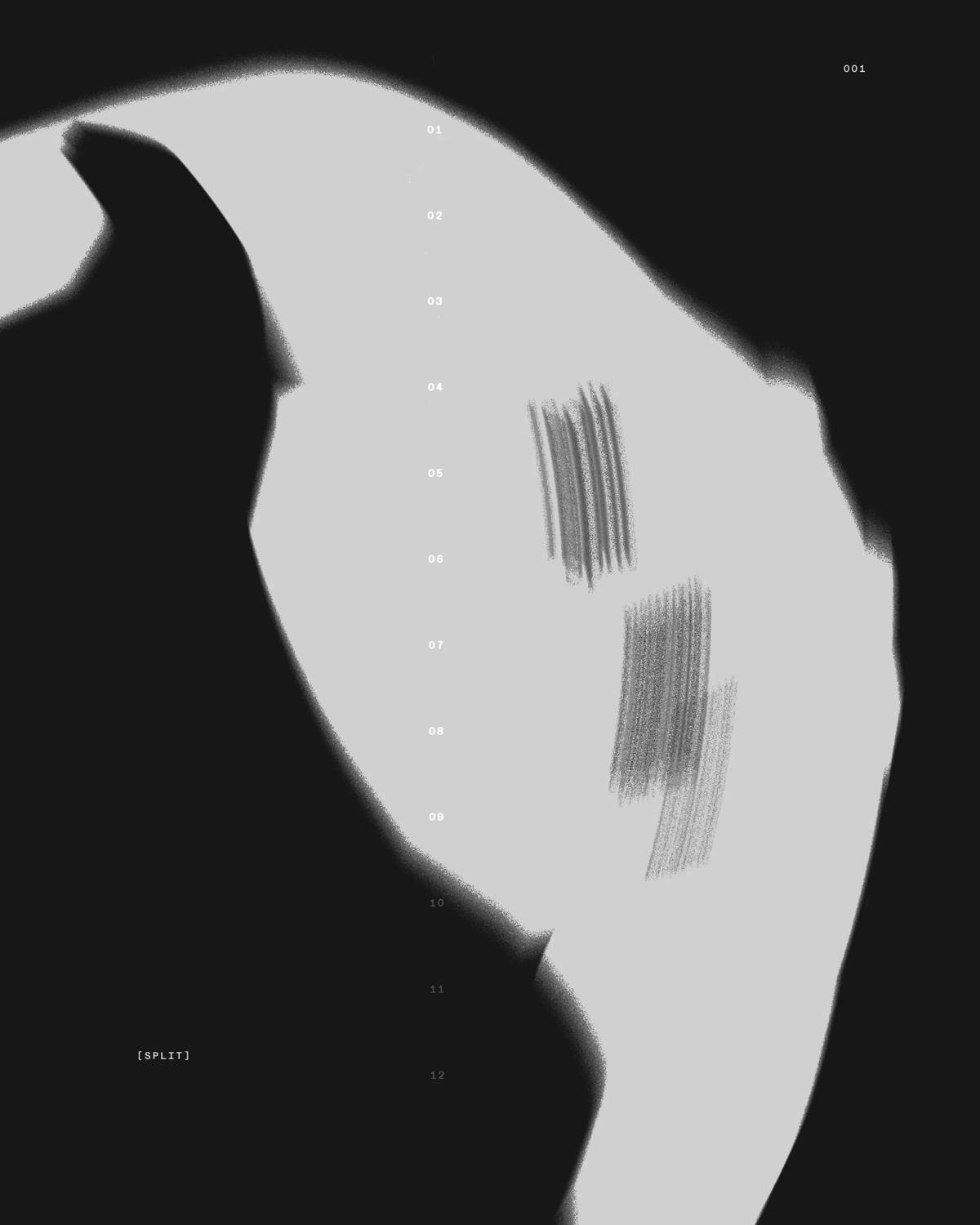 Split Watches: Brand visual
