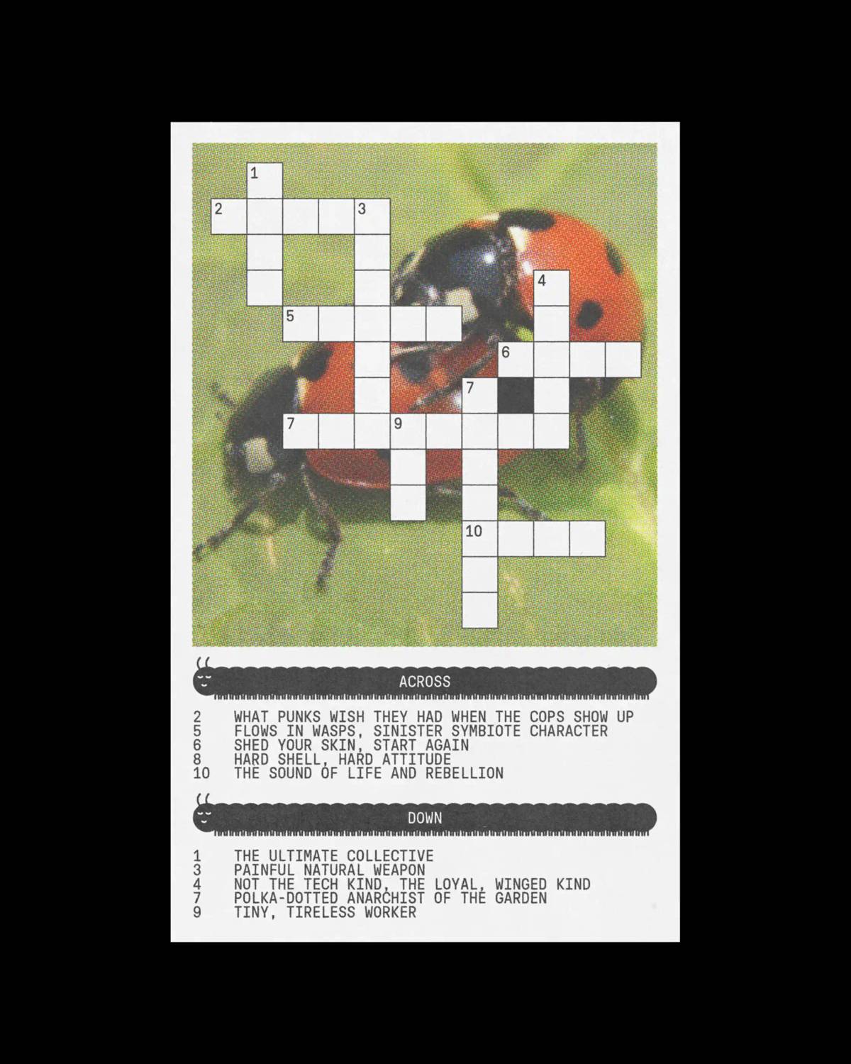 Underbug: Zine