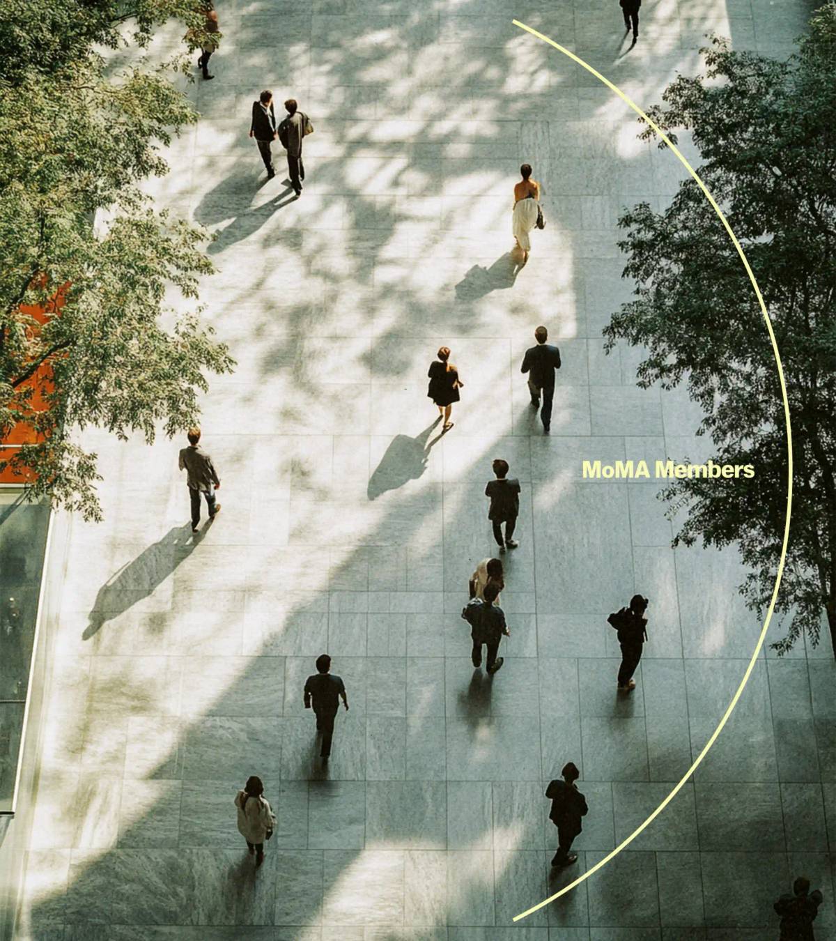 MoMA Members: Brand graphics