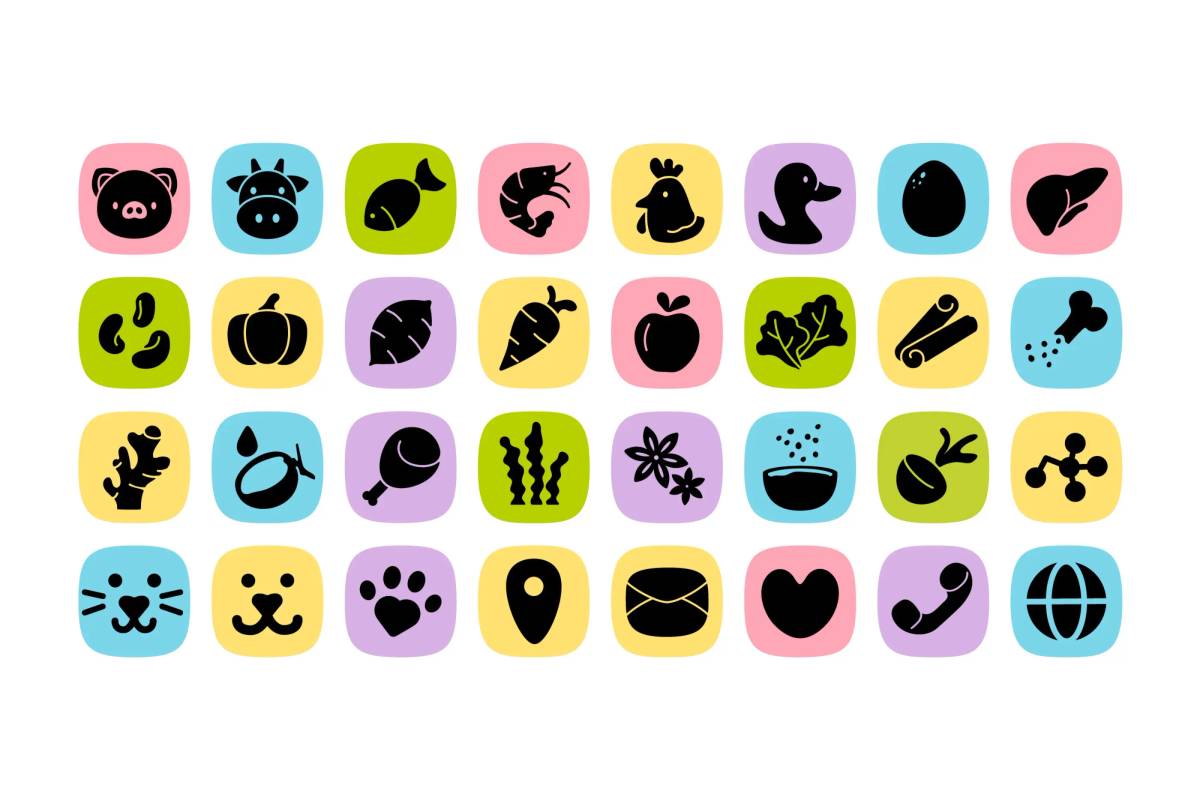 Pet Choy: Icons
