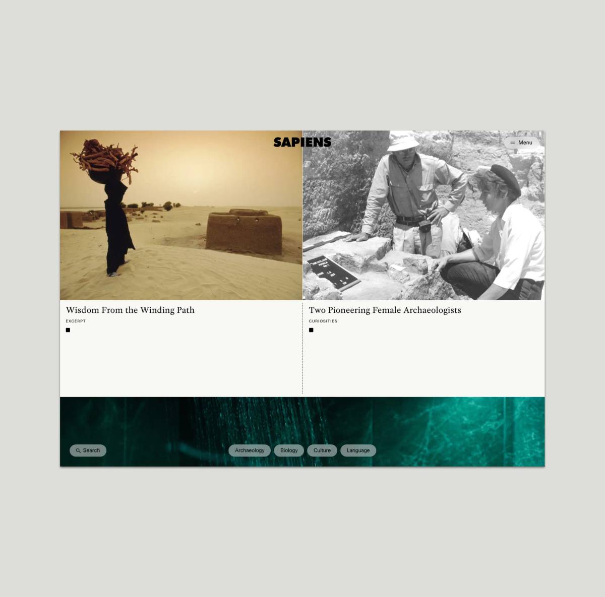 Sapiens Magazine: Website