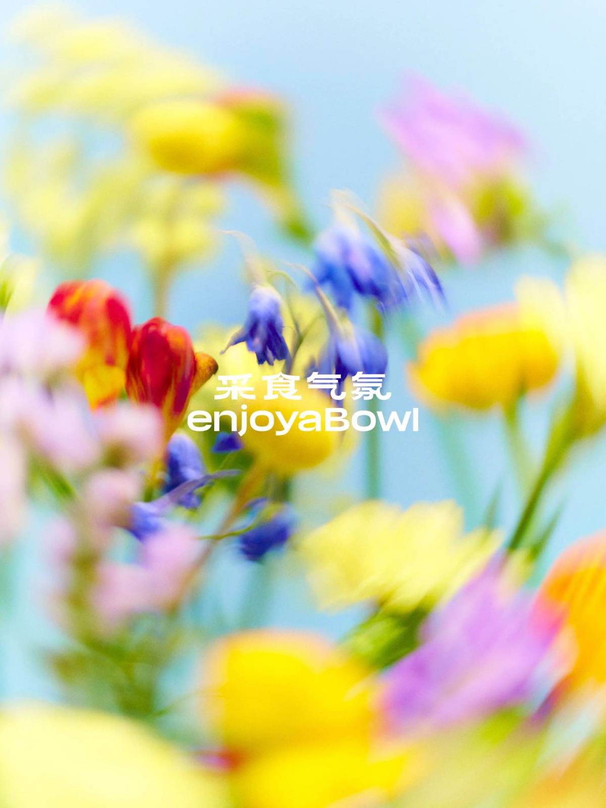 EnjoyaBowl: Brand visual