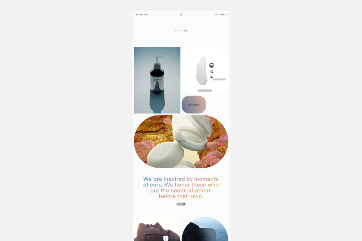 OEM: Website