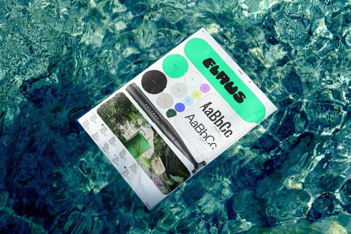 Flaus: Brand guide
