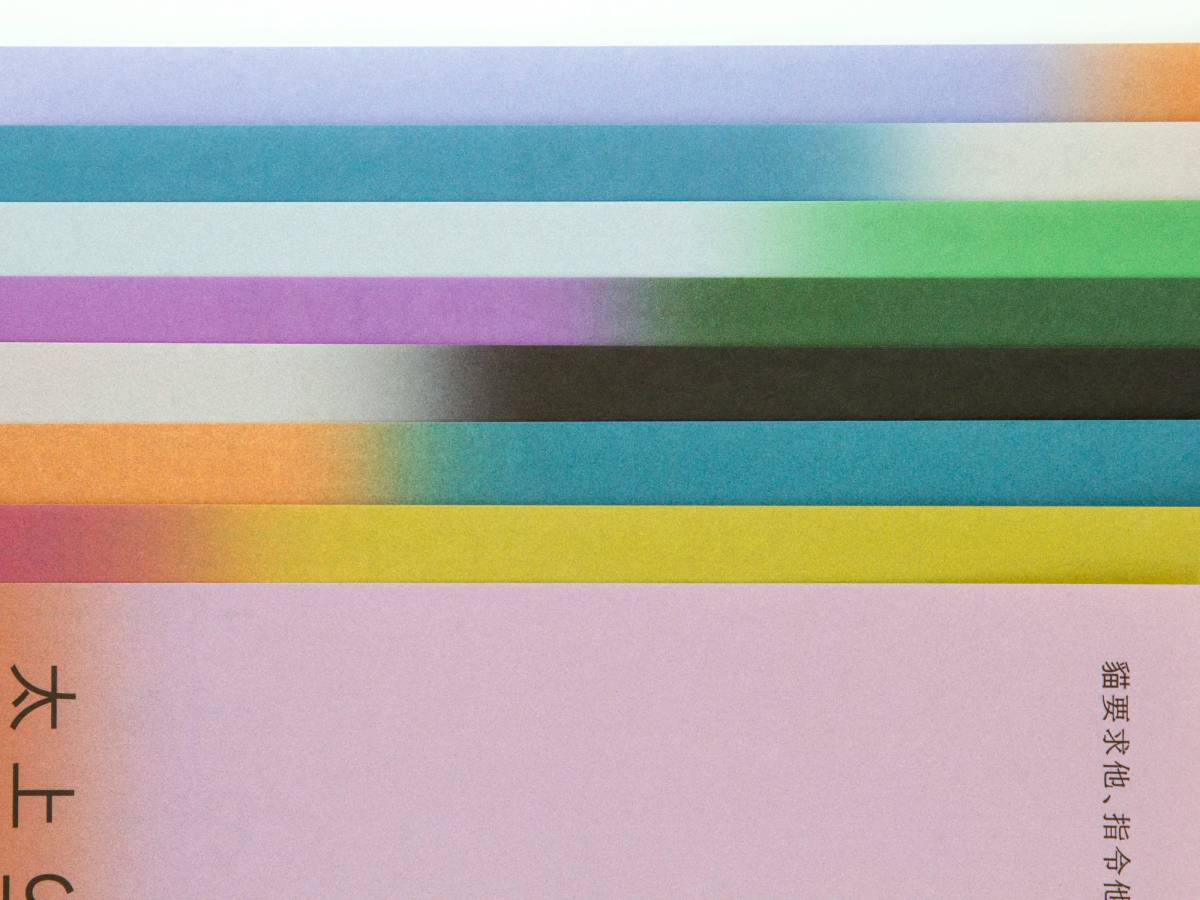 Sound of Sunrise: Close-up