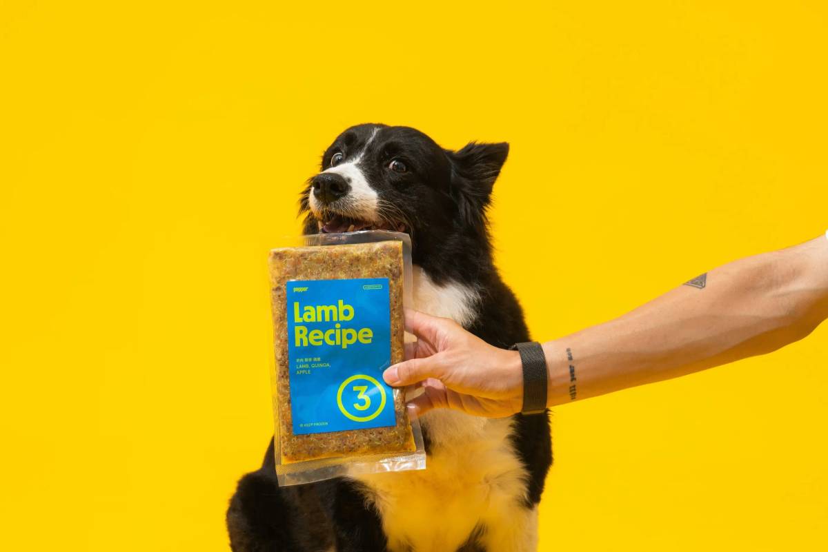 Pepper: Brand visual