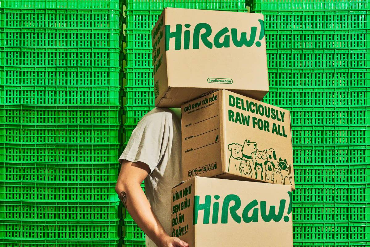 HiRaw!: Packing boxes