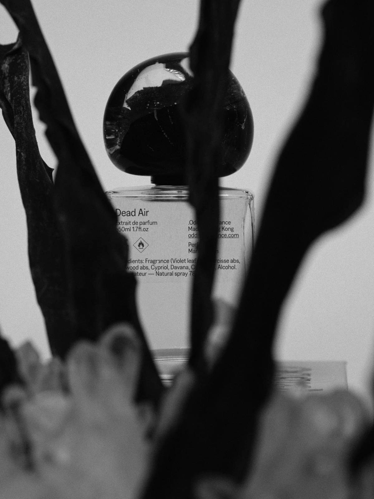 .Oddity Fragrance: Dead Air product photo
