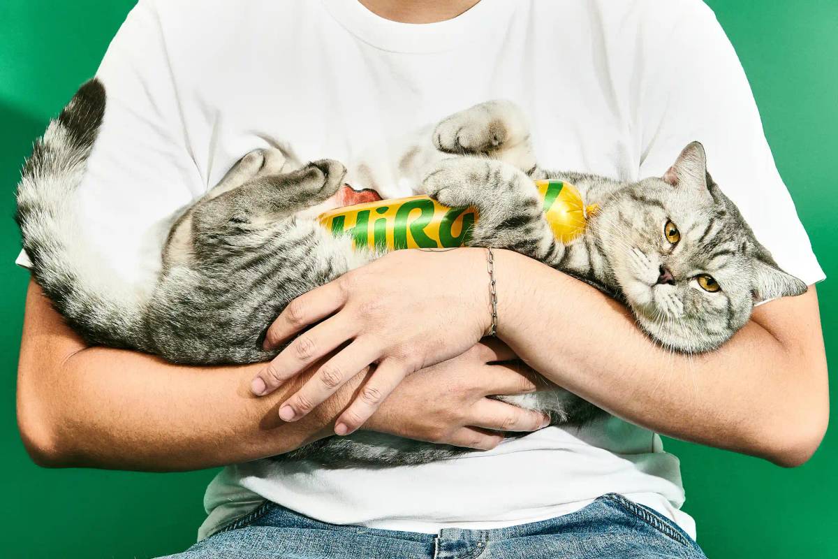 HiRaw!: Pet