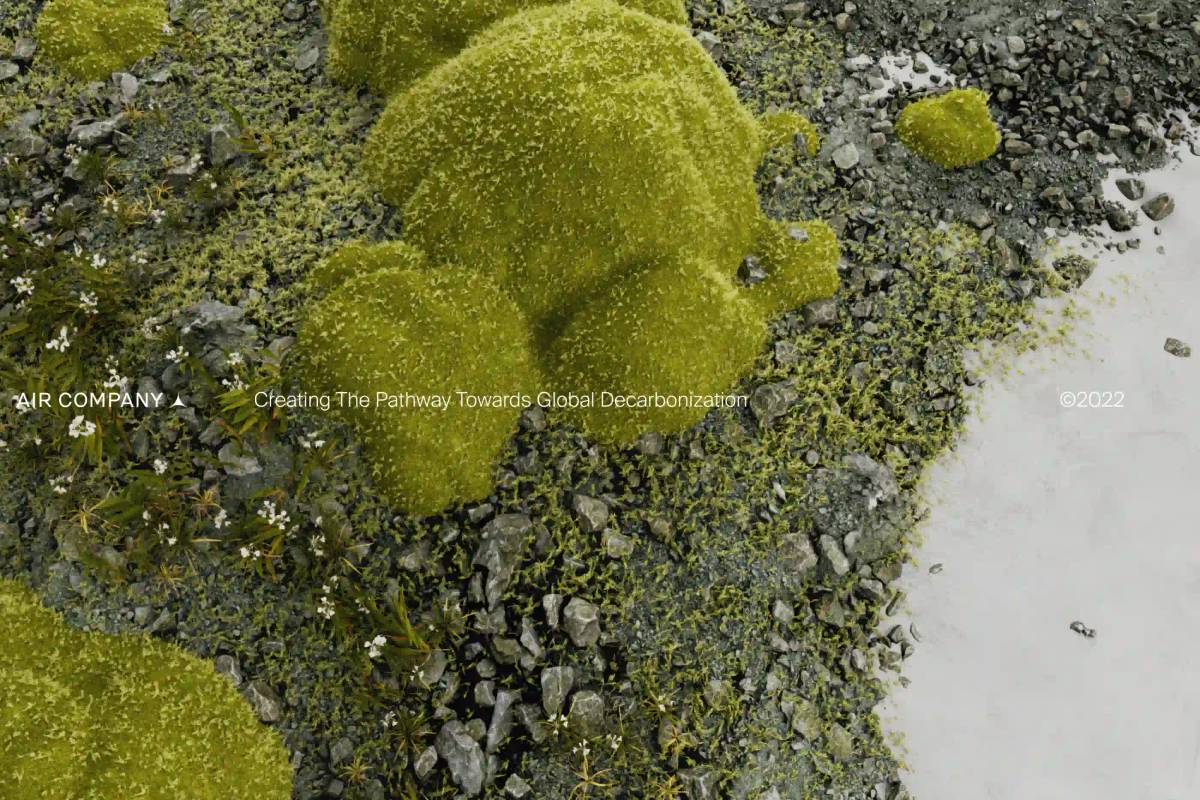Air Company: Imagery