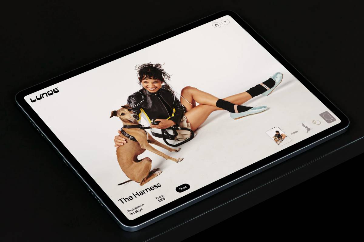 LUNGE: Website