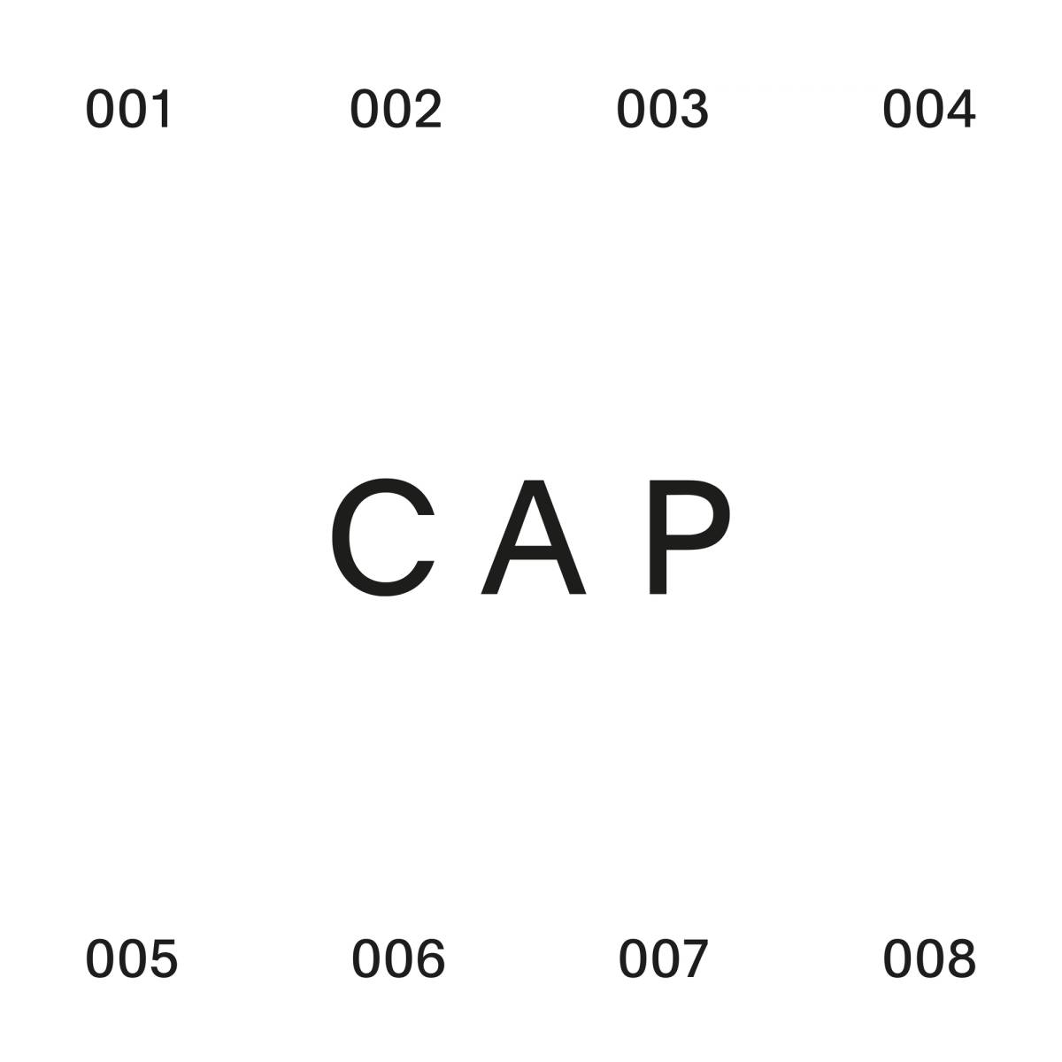 CAP Dept.: Logo numbering system