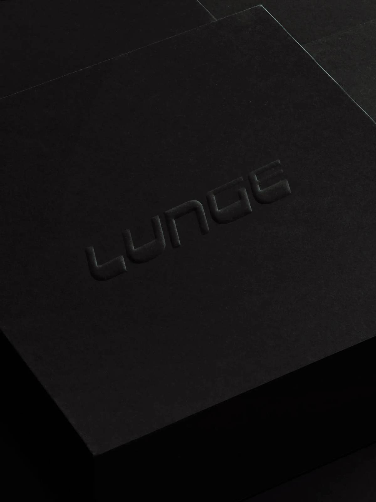 LUNGE: Logo